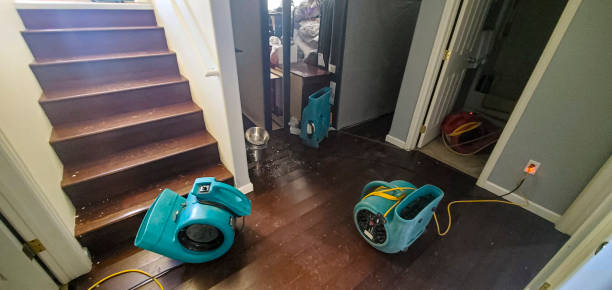 Best Emergency water damage restoration  in Sicklerville, NJ
