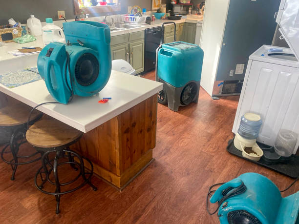 Best 24-hour water damage restoration  in Sicklerville, NJ