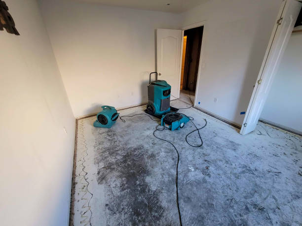 Best Mold removal after water damage  in Sicklerville, NJ