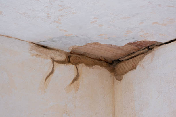 Best Water damage cleanup near me  in Sicklerville, NJ