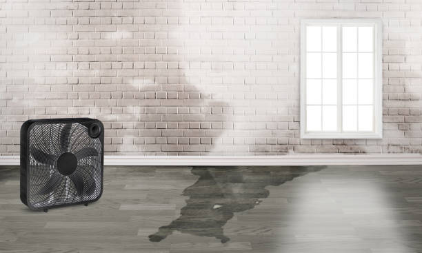 Best Water damage restoration specialists  in Sicklerville, NJ