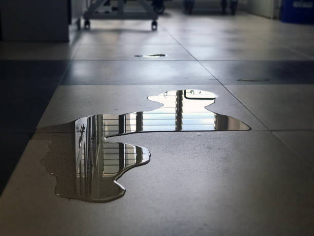 Best 24/7 water damage repair  in Sicklerville, NJ