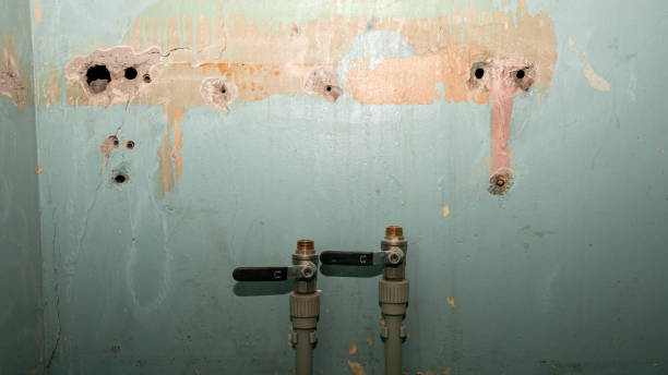 Best Commercial water damage restoration  in Sicklerville, NJ