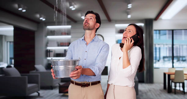 Best Water damage restoration near me  in Sicklerville, NJ